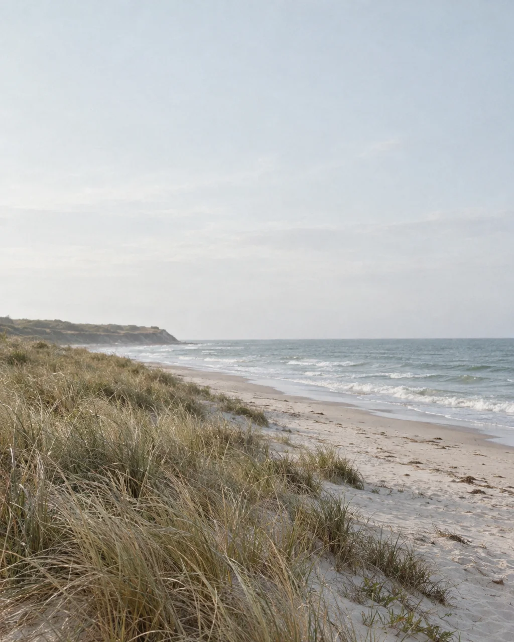 Dry dune grasses covering a sandy slope beside a quiet ocean beach under a soft, hazy sky.