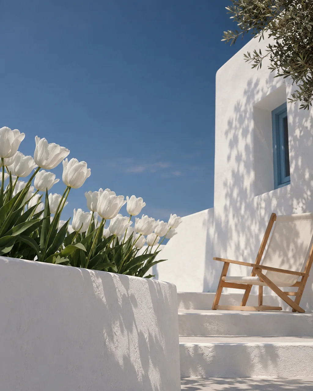 White tulips bloom in a planter beside a wooden deck chair against a sunlit whitewashed wall under a clear blue sky.