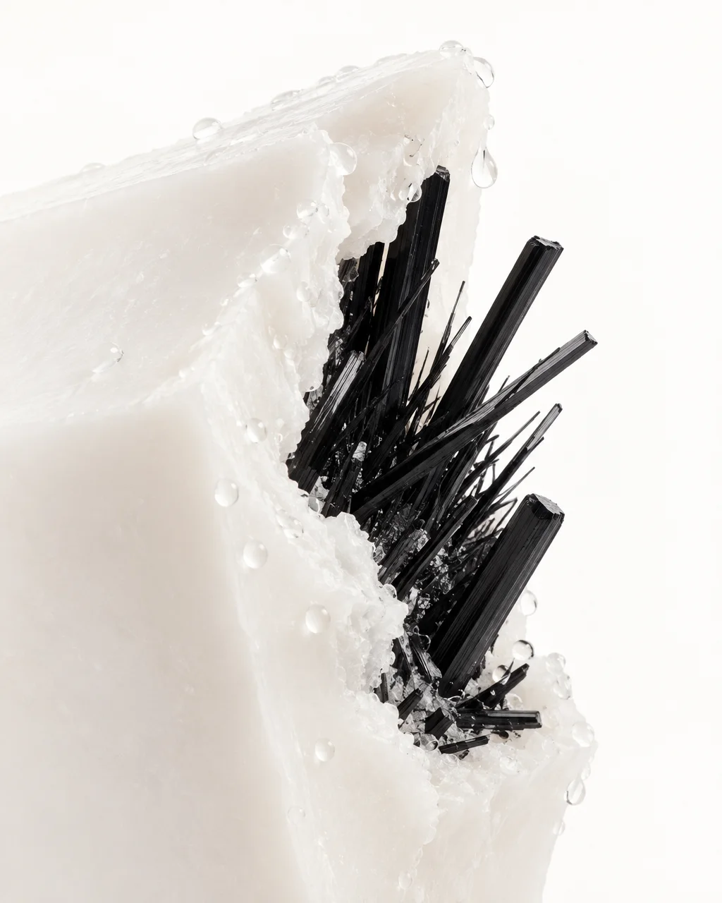 Sharp black tourmaline crystals burst from a fractured white mineral block beaded with water droplets against a bright background.