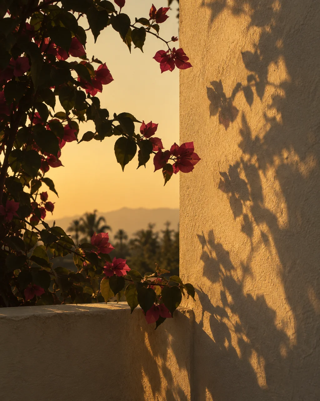 Pink bougainvillea flowers frame a textured stucco wall, casting soft leafy shadows in warm golden hour light with distant mountains in view.