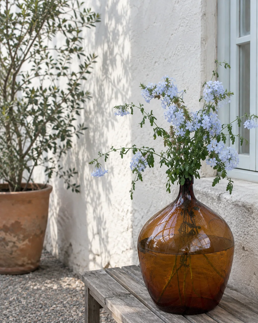 A large amber glass demijohn filled with delicate pale blue flowers rests on a weathered wooden bench beside a sunlit whitewashed wall.