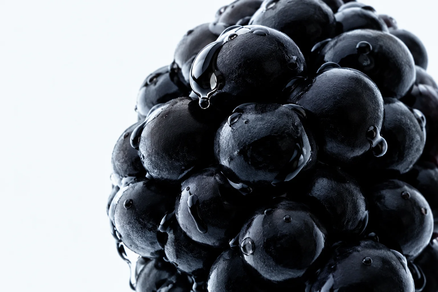 An extreme macro view of a ripe dark blackberry with glistening water droplets against a bright white background.