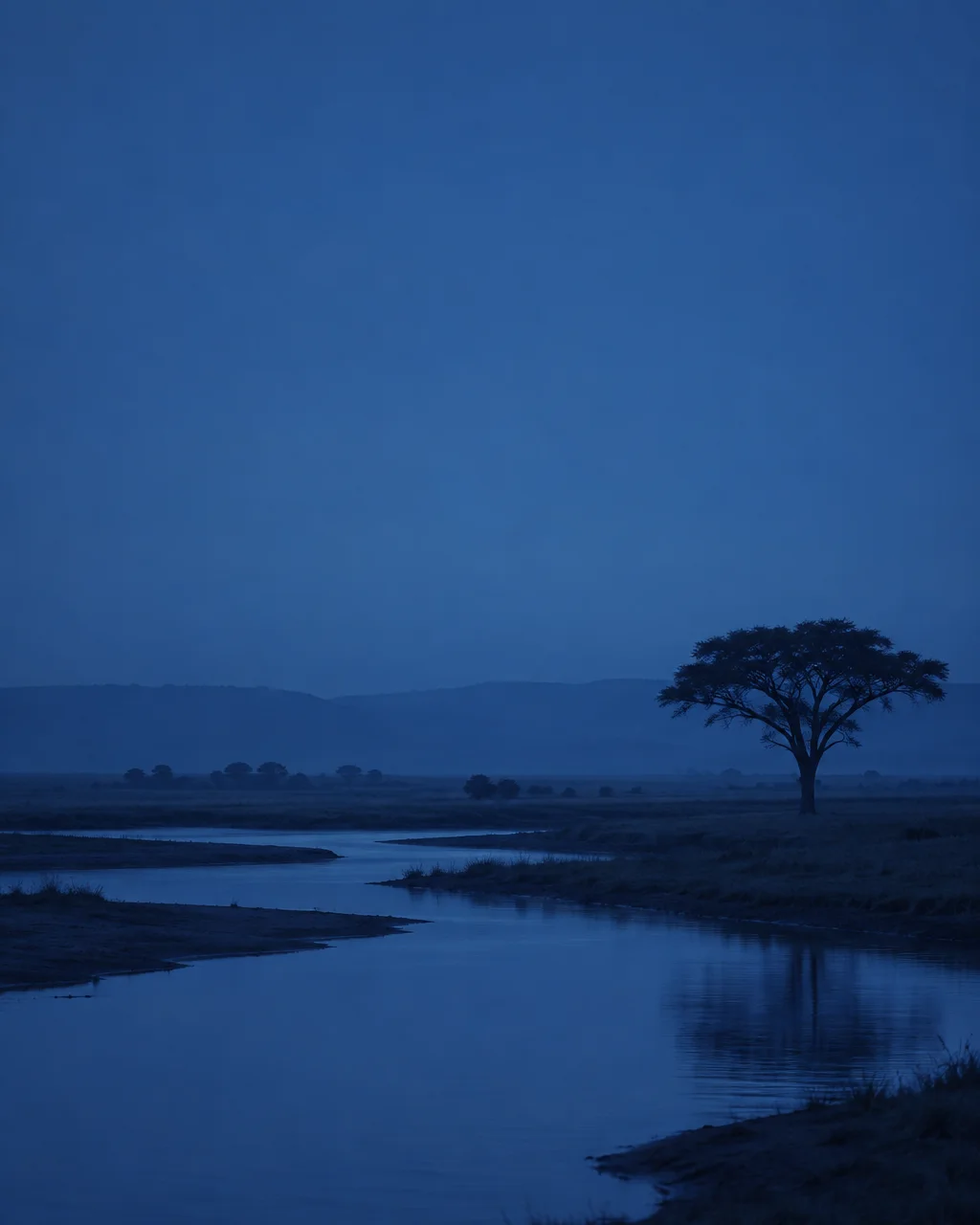 A lone acacia tree stands beside a winding river across a vast, flat landscape during the deep blue hour.