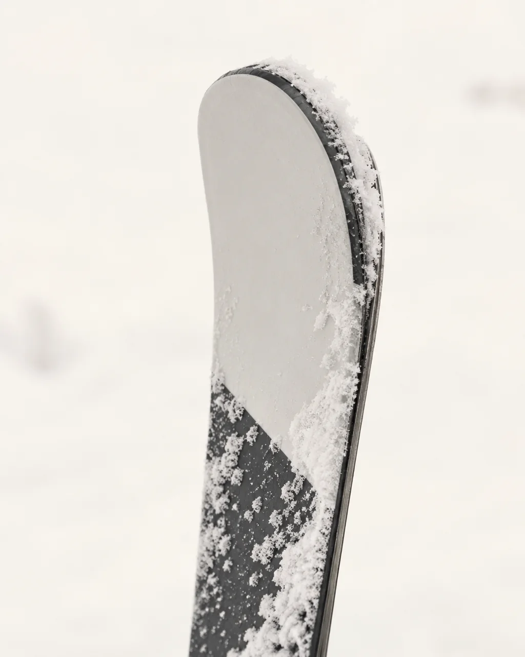 A close-up detail of a minimalist ski tip dusted with fresh white snow against an overcast snowy field.