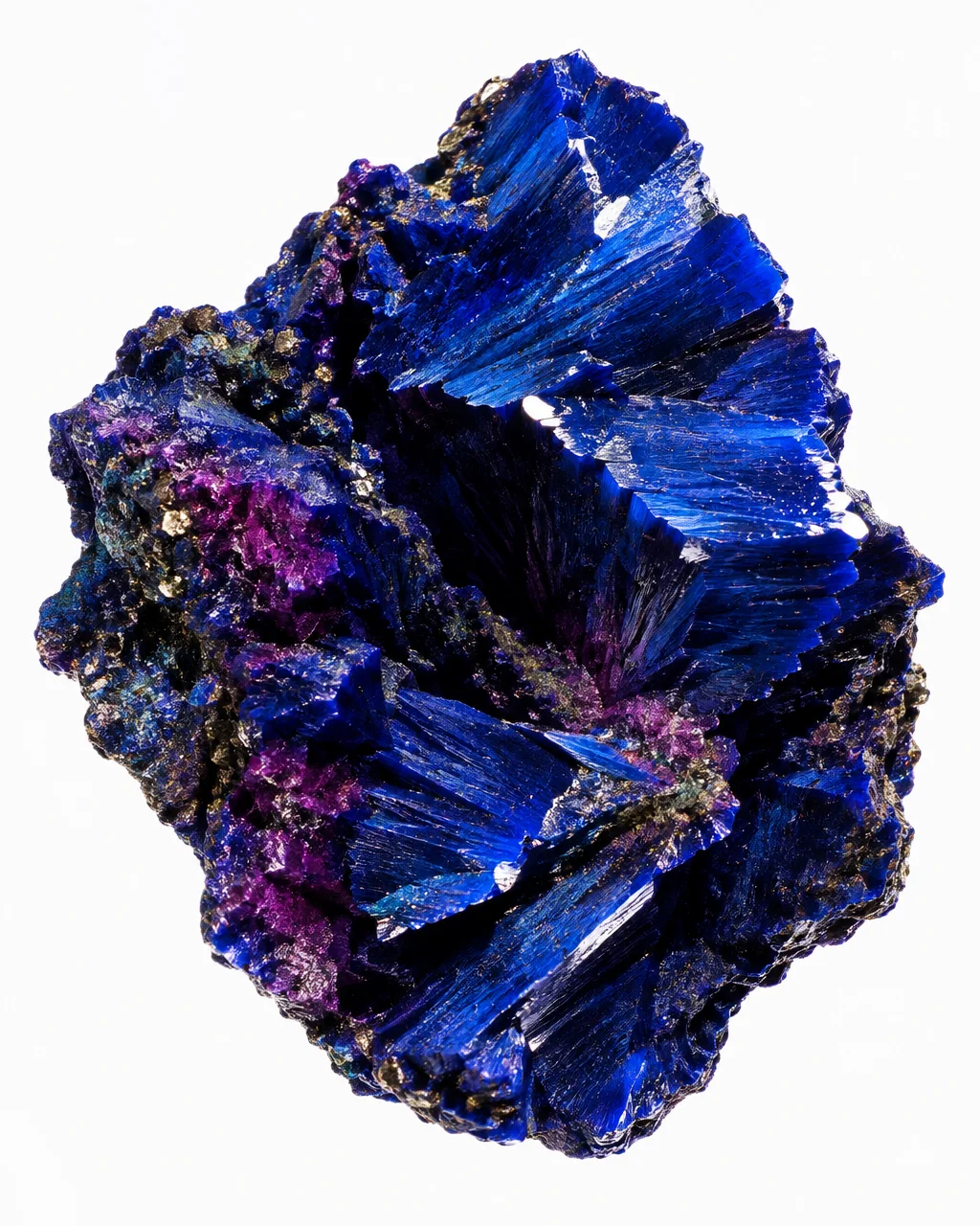 A raw mineral specimen showcasing deep cobalt blue crystal fan structures and iridescent purple accents isolated against white.