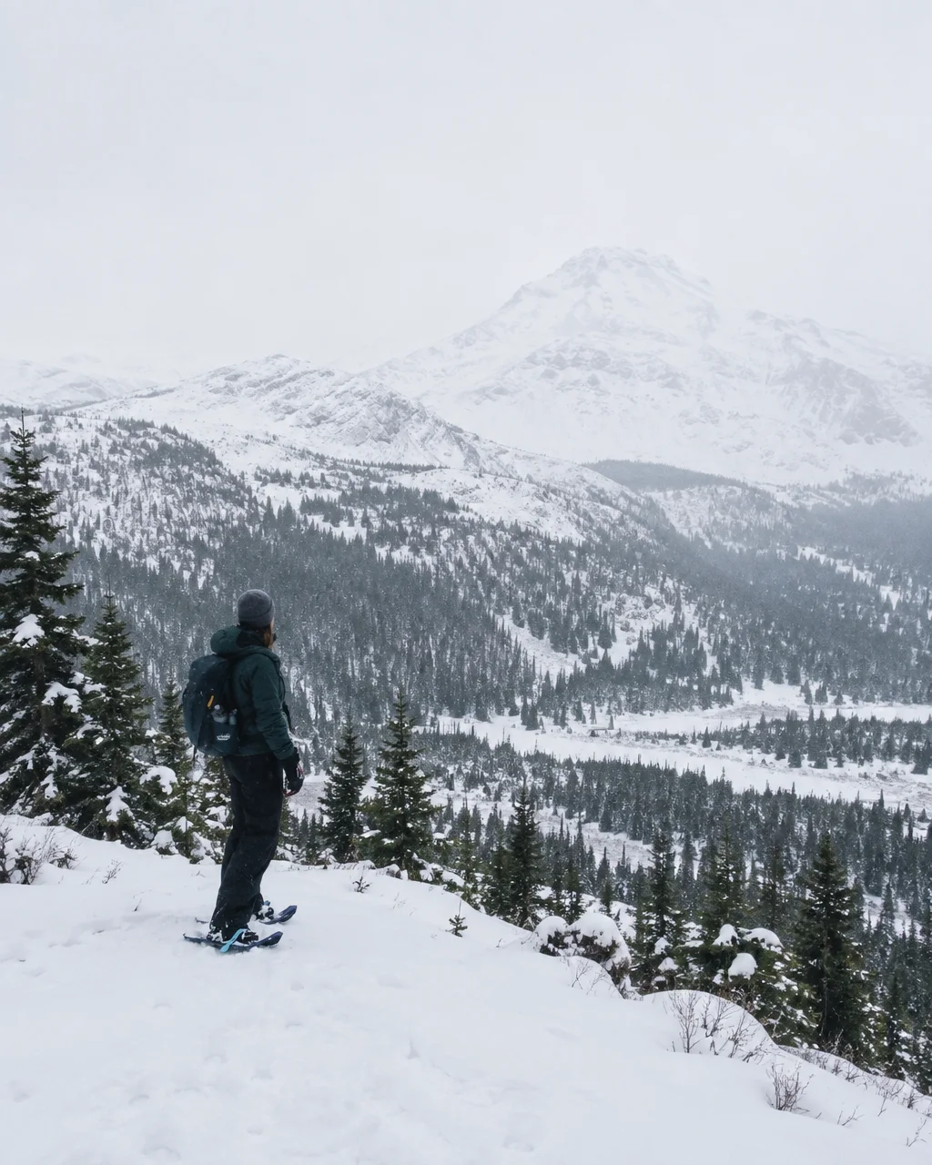 A hiker wearing snowshoes stands on a snow-covered ridge, looking out over an expansive pine valley and distant mountain peak under an overcast sky.