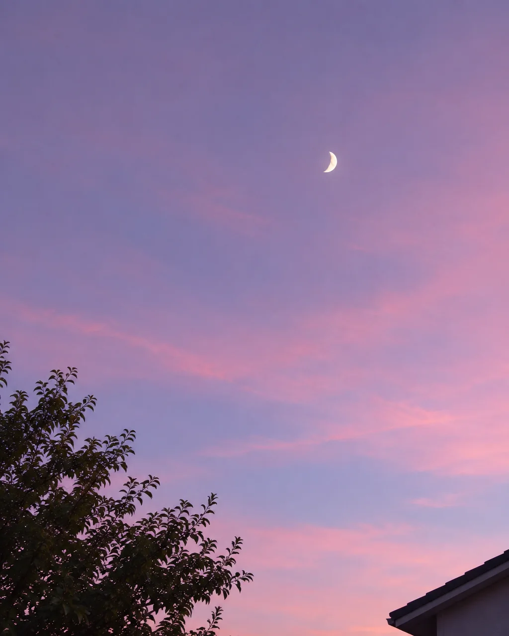 A delicate crescent moon shines against a gradient of pastel pink and purple evening clouds framed by silhouette foliage.