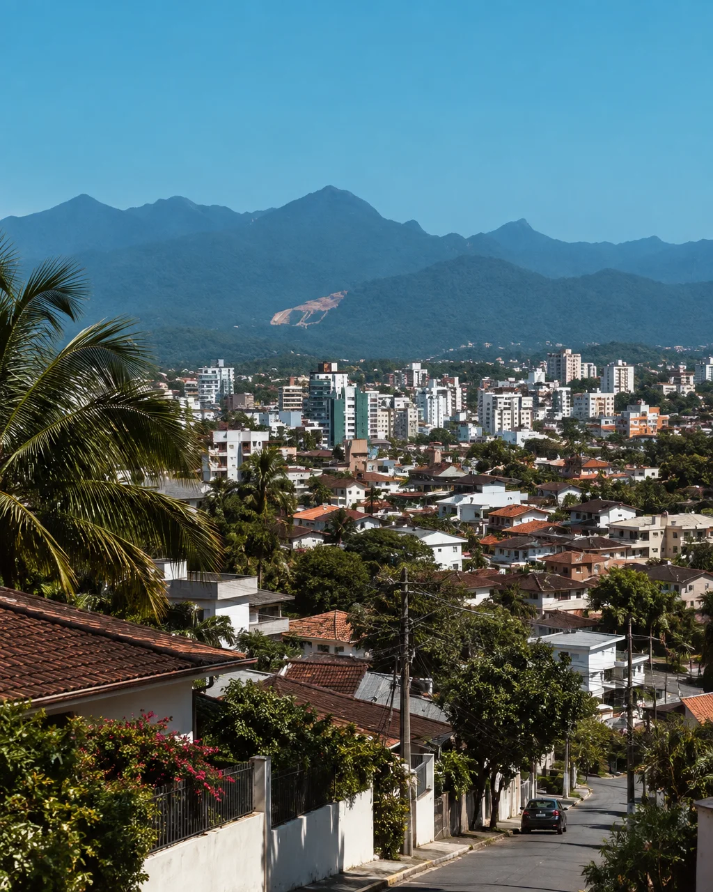 A quiet hillside street overlooks residential rooftops, lush greenery, and city buildings framed by distant blue mountain ridges under a clear sky.