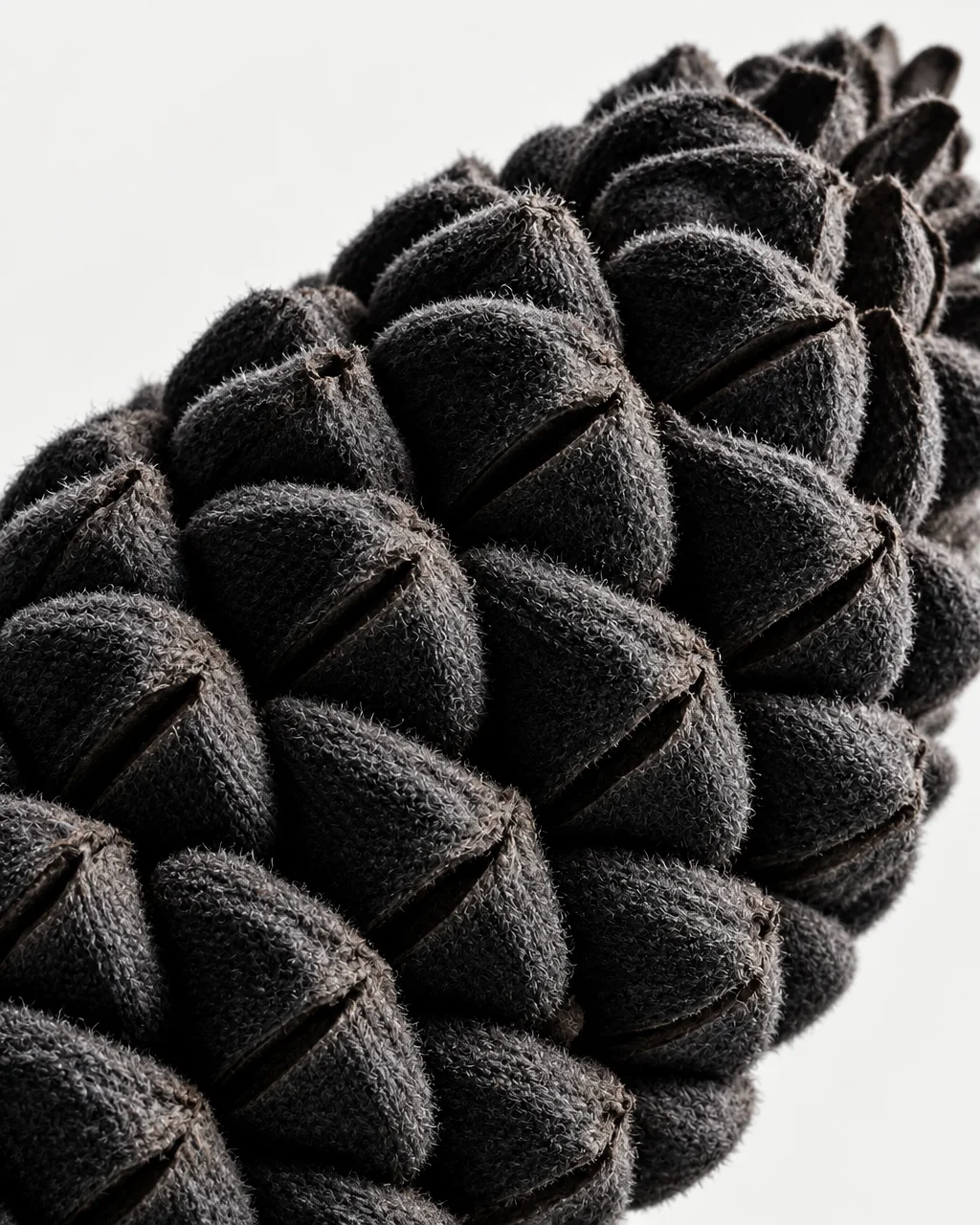 A macro view of a dark velvety seed pod with repeating slit follicles set against a stark white studio backdrop.