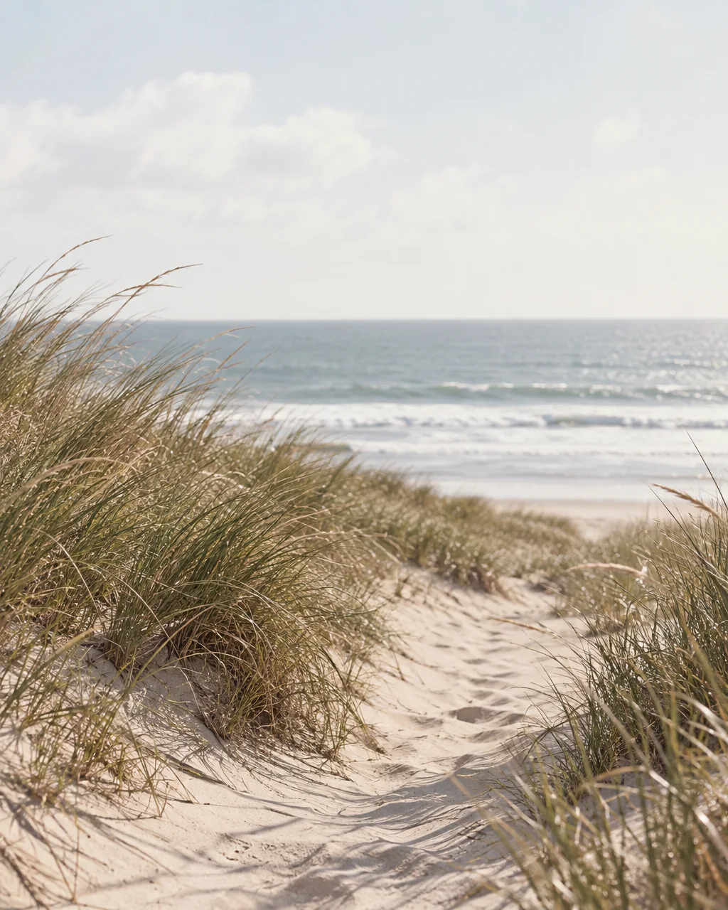 A sandy trail bordered by wild coastal grass leads over a crest toward rolling ocean waves and a pale sky.