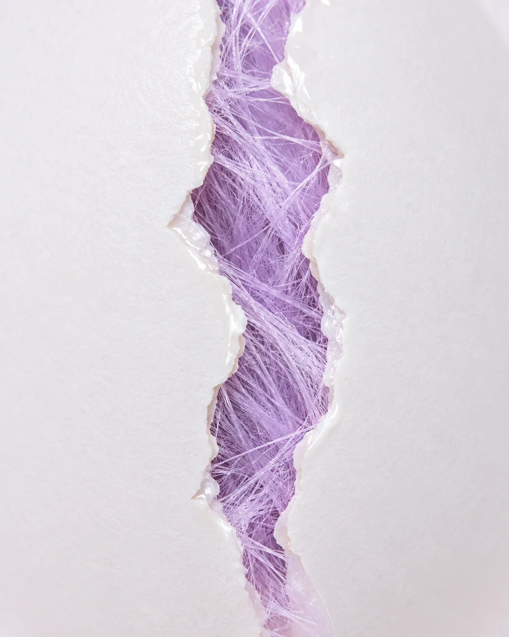 A vertical fissure across a smooth white eggshell reveals dense, fibrous lavender strands tucked within.