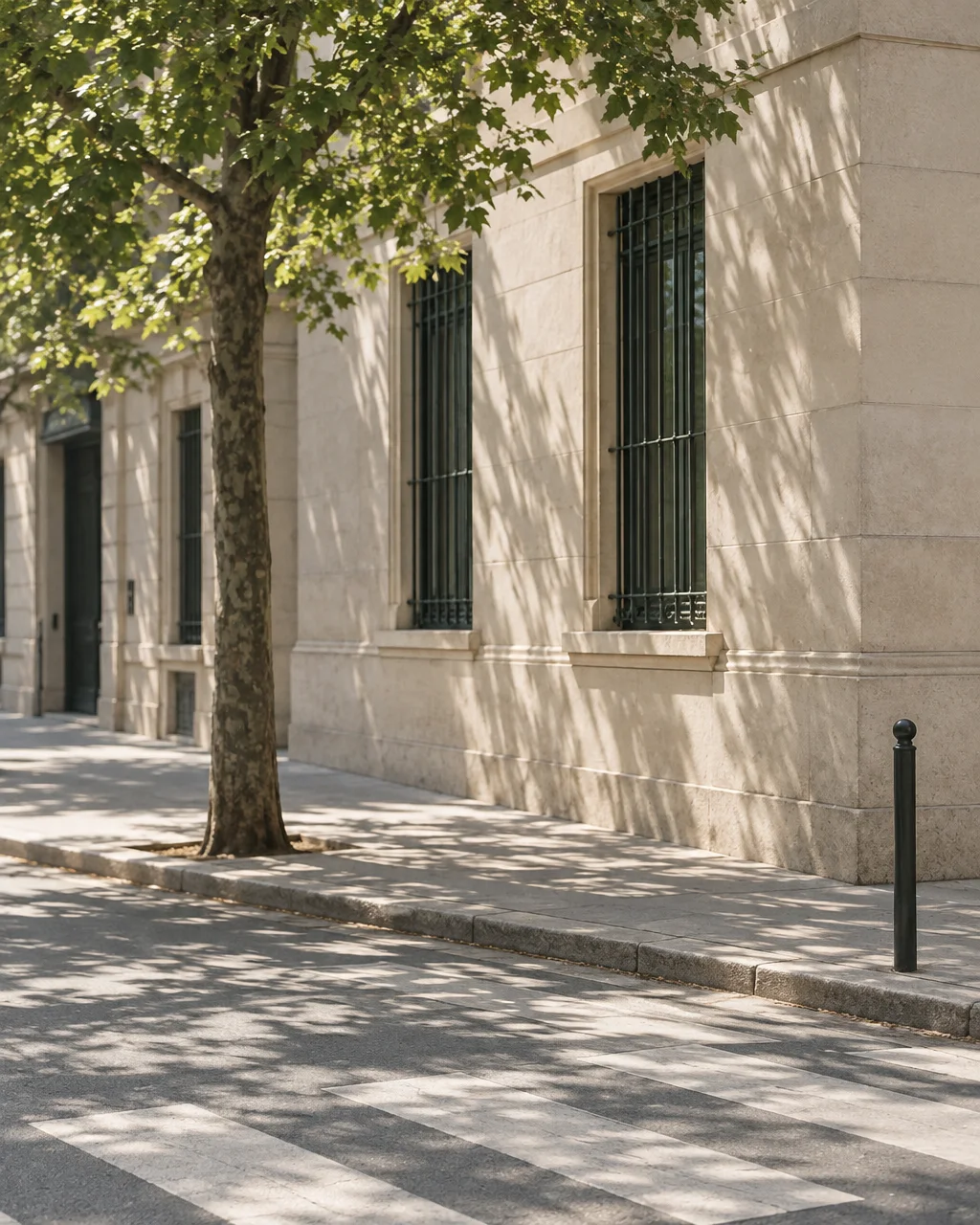 A tree casts intricate shadows across the pale stone facade of an elegant city building, empty sidewalk, and pedestrian crossing.