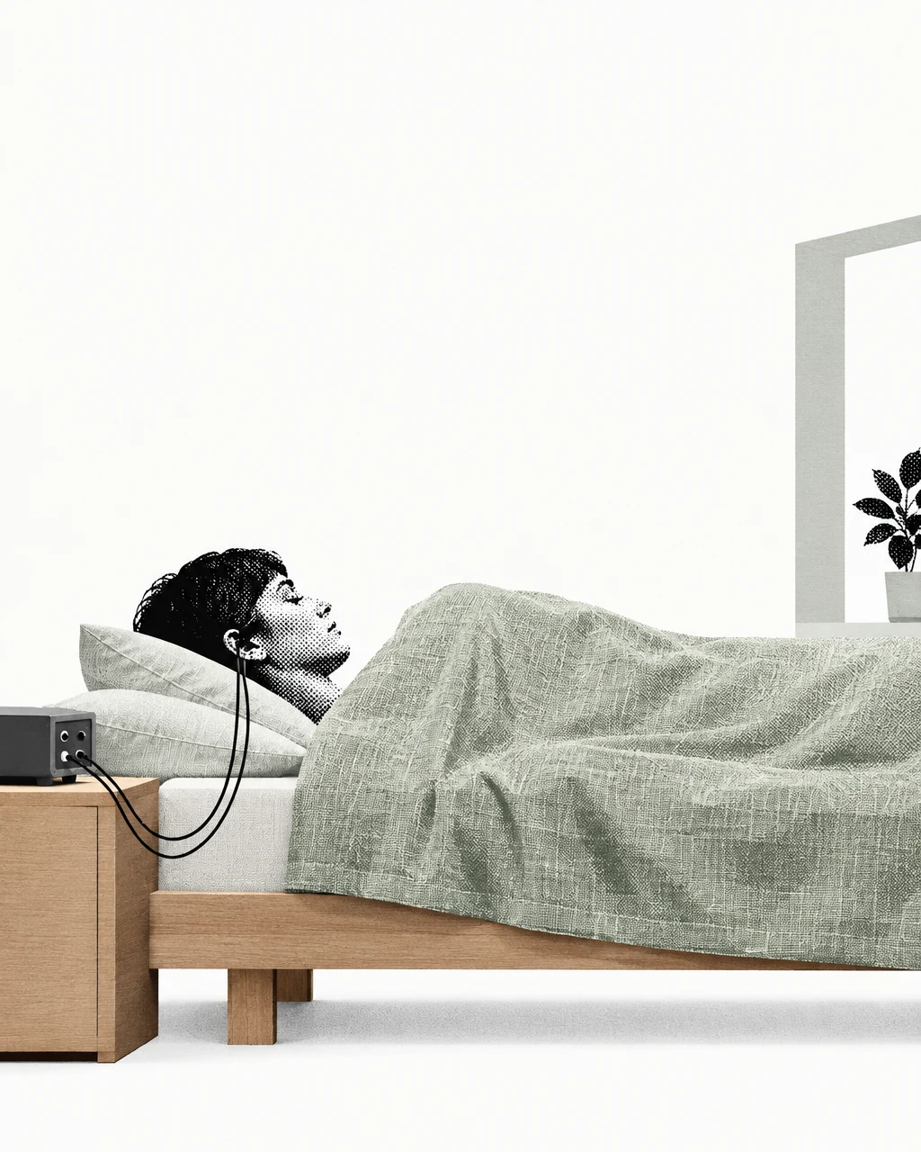 scene for chronobiology and clinical sleep architecture lab