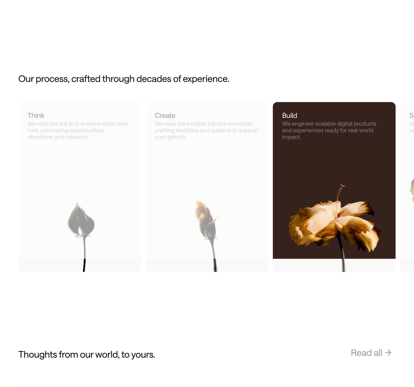 Quiet and refined process cards tracking the stages of creative growth through botanical floral photography.
