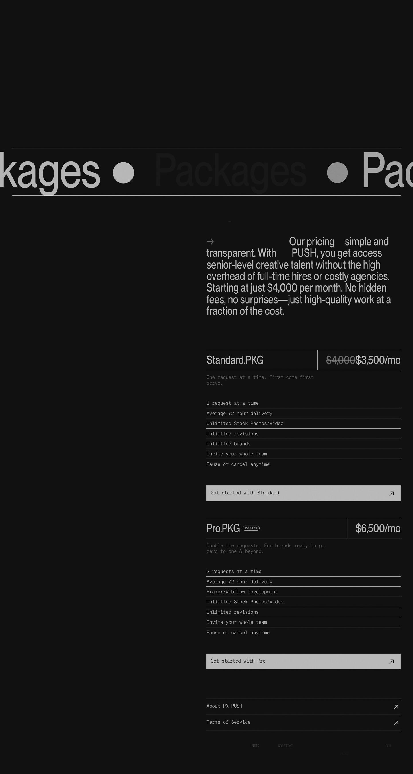 Monochrome, technical pricing section with stark black background, brutalist hairline dividers, and monospaced package specifications.