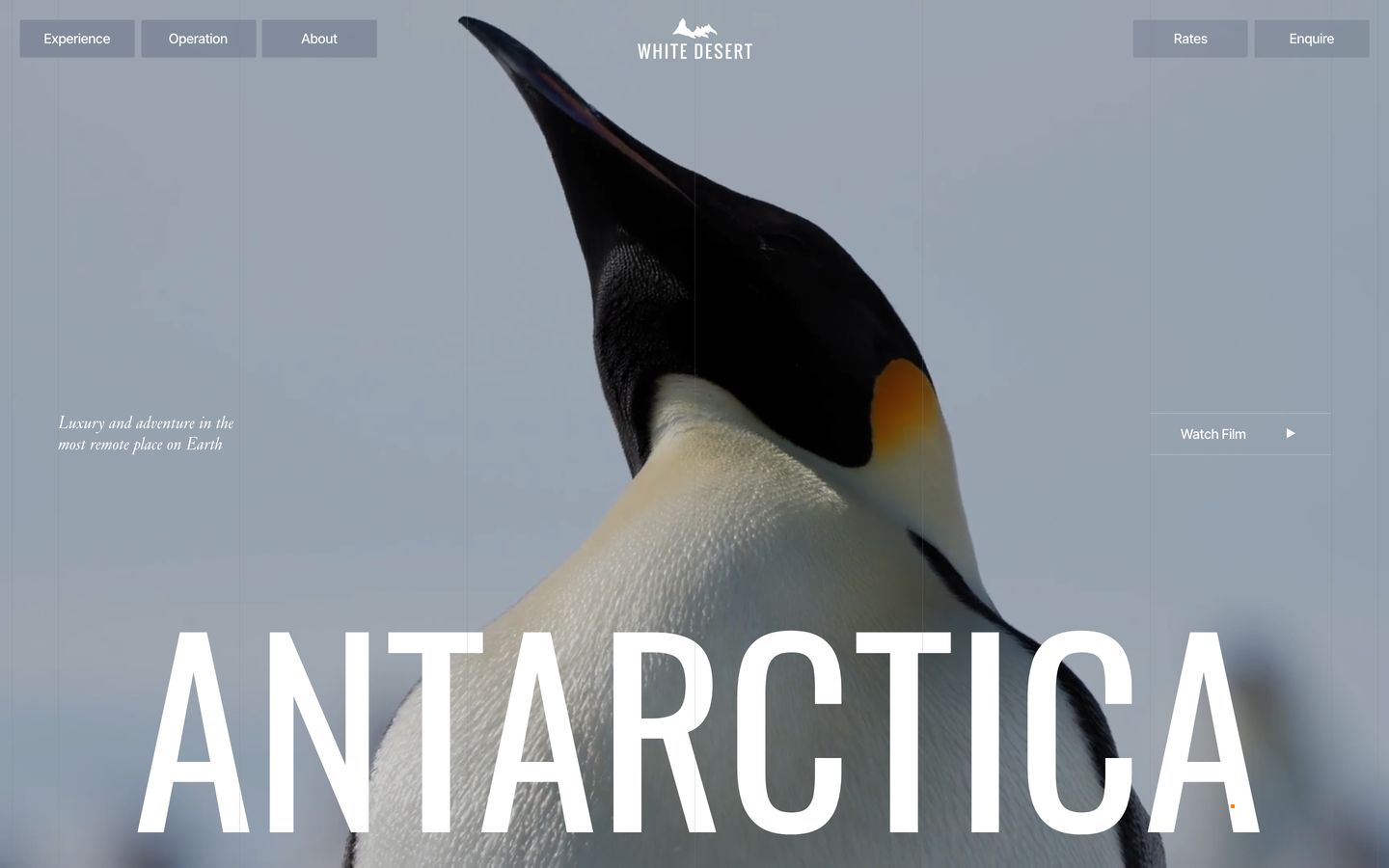 A breathtaking full-bleed portrait of an emperor penguin anchors an expansive, cinematic hero with commanding condensed typography.